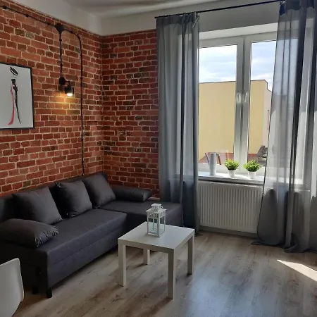 Konopnickiej 9 Apartament Loft Dostep Na Kod, Ptak, Orientarium, Atlas Arena, Szpital, Mandoria, Fala, Centrum Zdrowia Matki Polki, Rodzina, Family, Bezplatny Parking Pabianice Zewnętrze zdjęcie