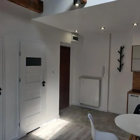 Konopnickiej 9 Apartament Loft Dostep Na Kod, Ptak, Orientarium, Atlas Arena, Szpital, Mandoria, Fala, Centrum Zdrowia Matki Polki, Rodzina, Family, Bezplatny Parking Pabianice Zewnętrze zdjęcie