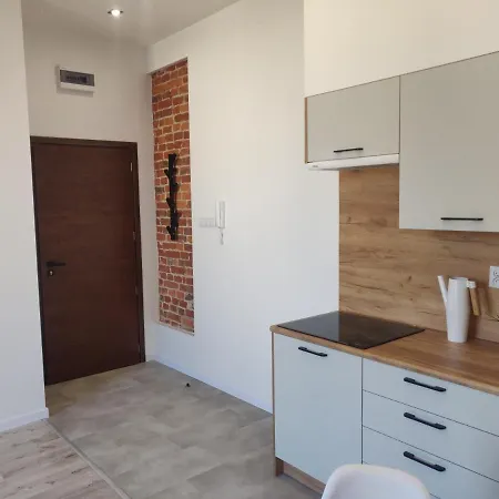 Konopnickiej 9 Apartament Loft Dostep Na Kod, Ptak, Orientarium, Atlas Arena, Szpital, Mandoria, Fala, Centrum Zdrowia Matki Polki, Rodzina, Family, Bezplatny Parking Pabianice Zewnętrze zdjęcie