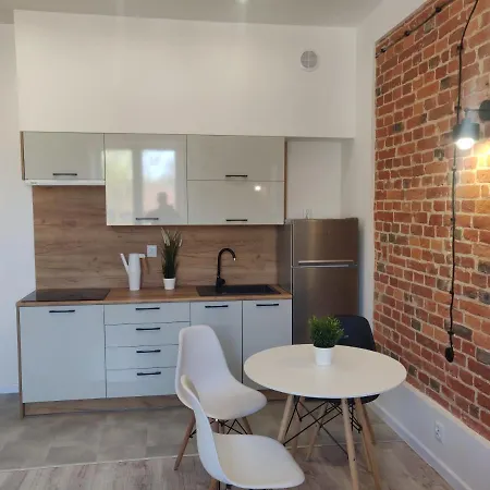 Konopnickiej 9 Apartament Loft Dostep Na Kod, Ptak, Orientarium, Atlas Arena, Szpital, Mandoria, Fala, Centrum Zdrowia Matki Polki, Rodzina, Family, Bezplatny Parking Pabianice Zewnętrze zdjęcie