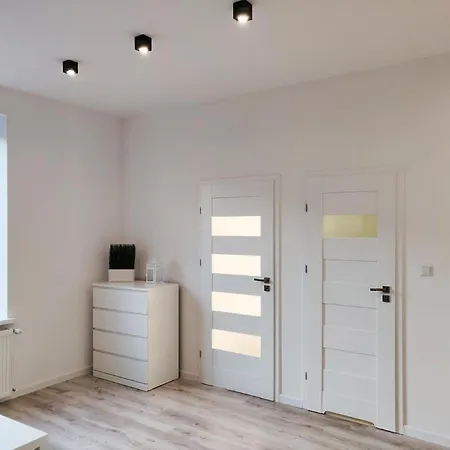Konopnickiej 9 Apartament Loft Dostep Na Kod, Ptak, Orientarium, Atlas Arena, Szpital, Mandoria, Fala, Centrum Zdrowia Matki Polki, Rodzina, Family, Bezplatny Parking Pabianice Zewnętrze zdjęcie