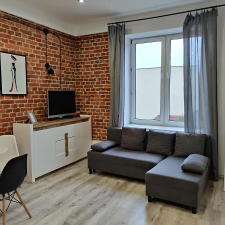 Konopnickiej 9 Apartament Loft Dostep Na Kod, Ptak, Orientarium, Atlas Arena, Szpital, Mandoria, Fala, Centrum Zdrowia Matki Polki, Rodzina, Family, Bezplatny Parking Pabianice Zewnętrze zdjęcie