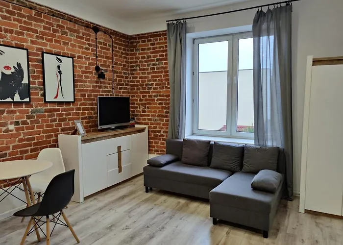 Konopnickiej 9 Apartament Loft Dostep Na Kod, Ptak, Orientarium, Atlas Arena, Szpital, Mandoria, Fala, Centrum Zdrowia Matki Polki, Rodzina, Family, Bezplatny Parking